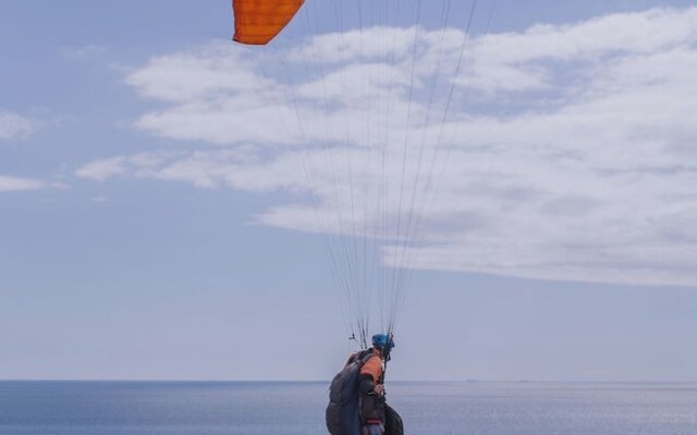 Butterfly Paragliding And B And B