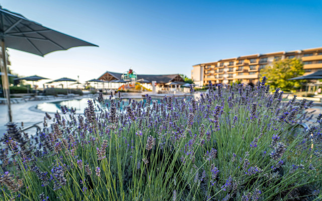 HVD Club Hotel Miramar - Ultra All Inclusive