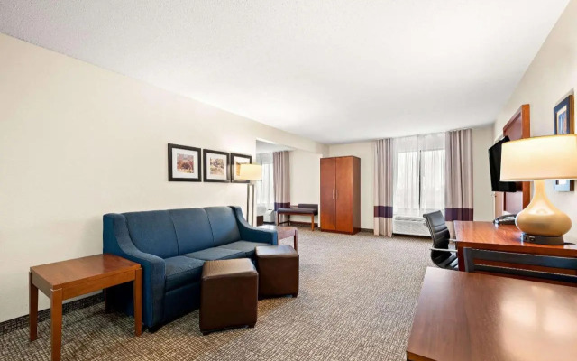 Comfort Inn & Suites Decatur - Forsyth