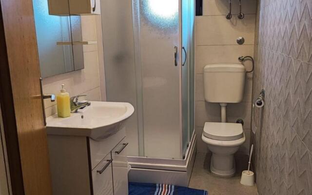 Dragi - 250 m from the beach - A1(6)