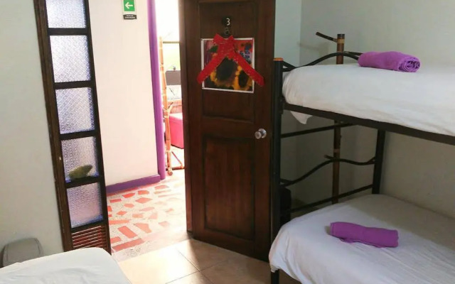 Destino Nomada