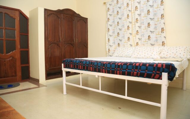 The Paradise In Backpackers