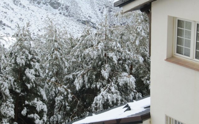 Snowy Dream Study Area Nevada