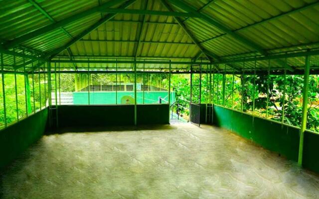 Shibi's Tea Garden Heritage