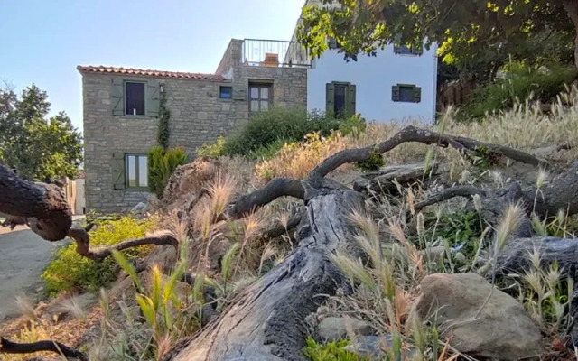 The Hill Village House