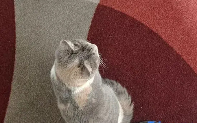 Shankee Hotel (Bome Passenger Station)