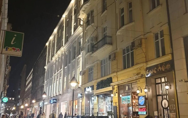 Apartment Belgrade Nº3