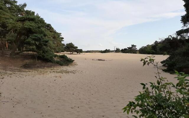 Comfortabel tot rust komen in het Veluwse bos