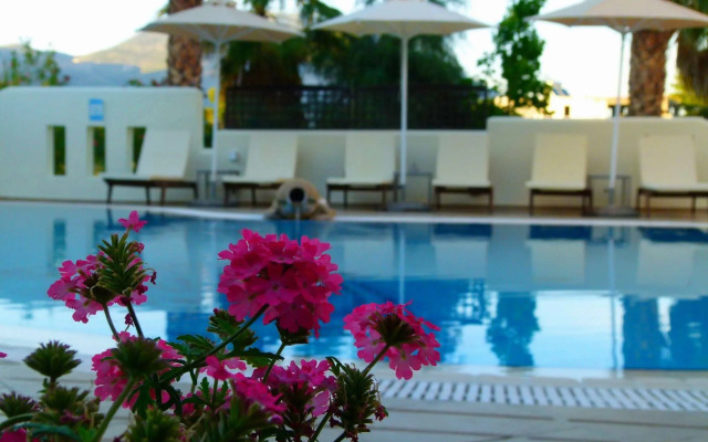 Sun Rise Hotel Studios & Apartments