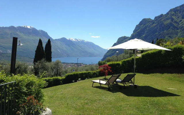 Verde E Panorama