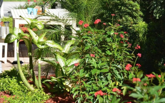 Steps to Sand and Sea 3