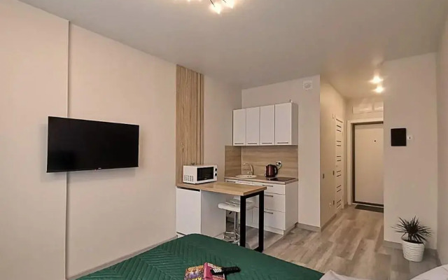 Apartment on Andrey Korenevsky street 11