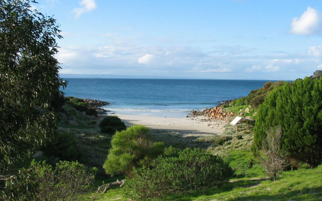 Sea Dragon Kangaroo Island