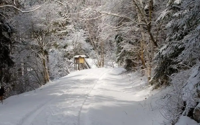 Doppelhaushalfte in Hasselfelde