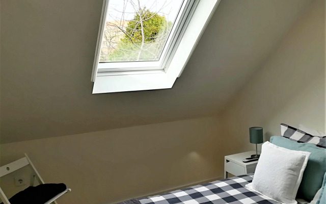 Green House / Casa Verde