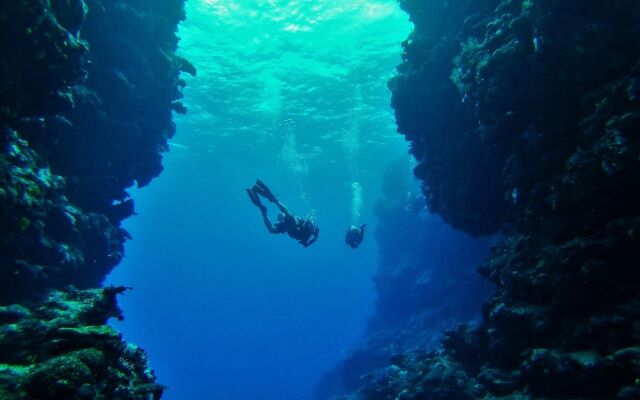 Mai Dive Astrolabe Reef Resort