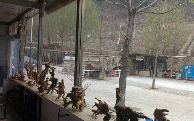 Glass table Xiaoning farmyard