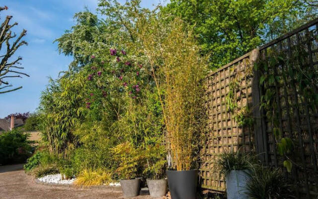 Le Jardin d'Alix