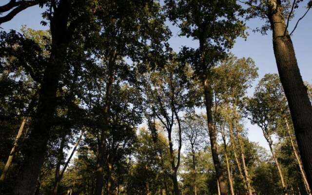 Gîte La Maison Du Prévôt