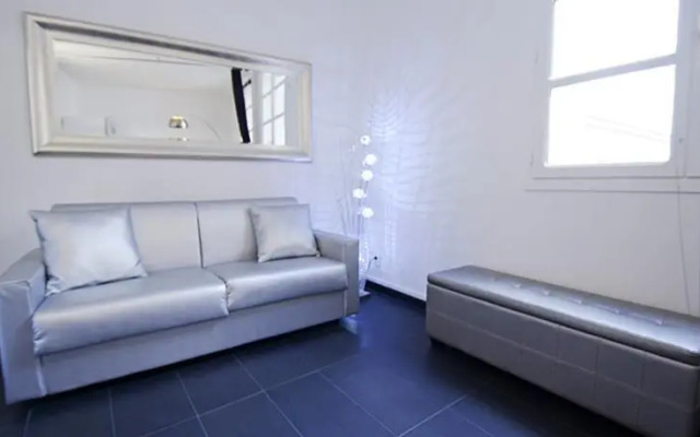 Silver Black Flat