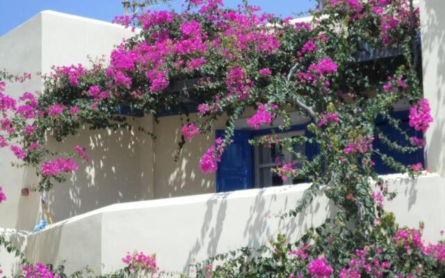 Santorious Flower Covered Apartment