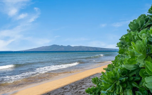 Mahana 1202 in Lahaina