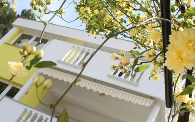 Apartments Tulumovic