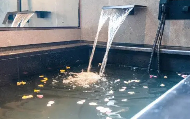 Yuan Chanyue Homestay (Wuxie Branch)