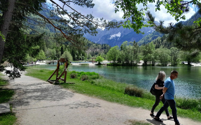 LES CHALET Kranjska Gora DUPLEX