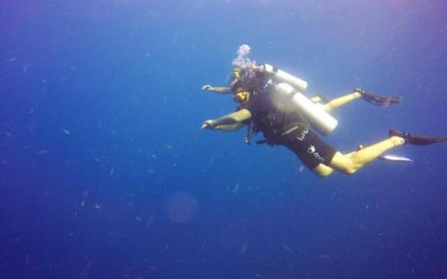 Dpm Diving Hostel & Bar Koh Tao