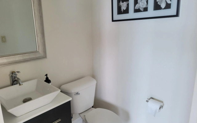 Driftwood Beach Motel