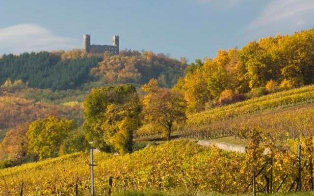 Terrasses du Zimmerberg