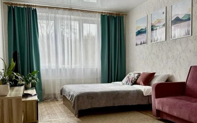 Apartments on Molodezhny Avenue