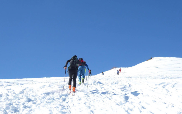 Bright apartment in Val di Fiemme with spacious terrace