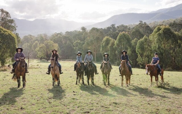 Spring Spur Stay