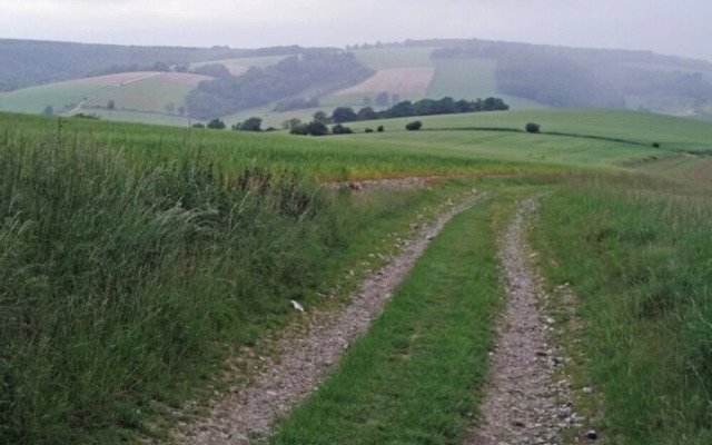 The Old Tractor Shed