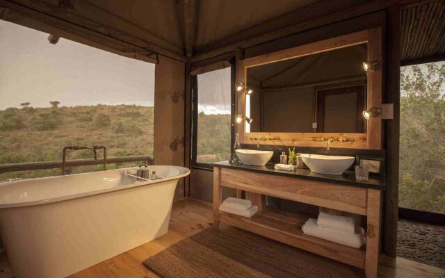 Bukela Game Lodge Amakhala Game Reserve