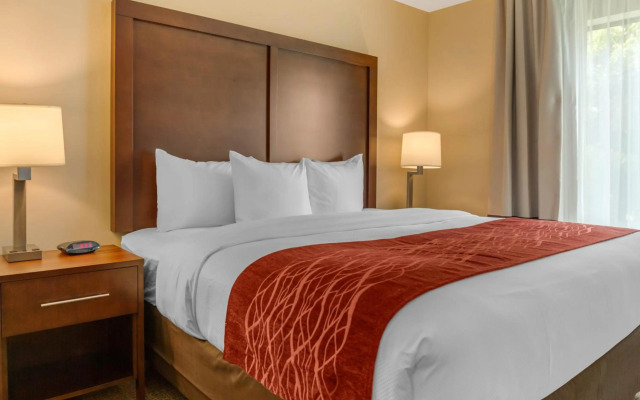 Comfort Inn & Suites