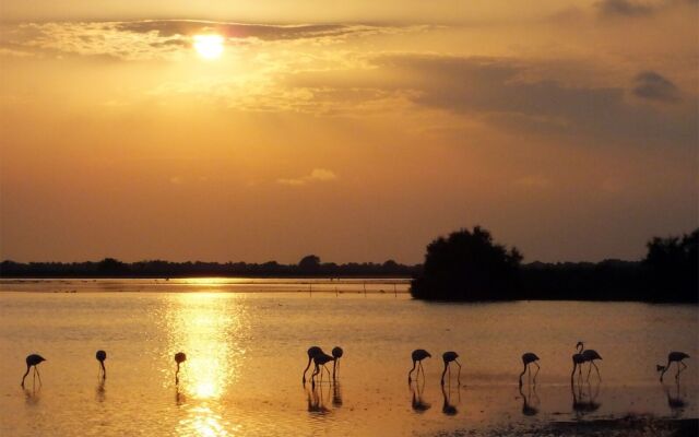 La Cabane du Boumian