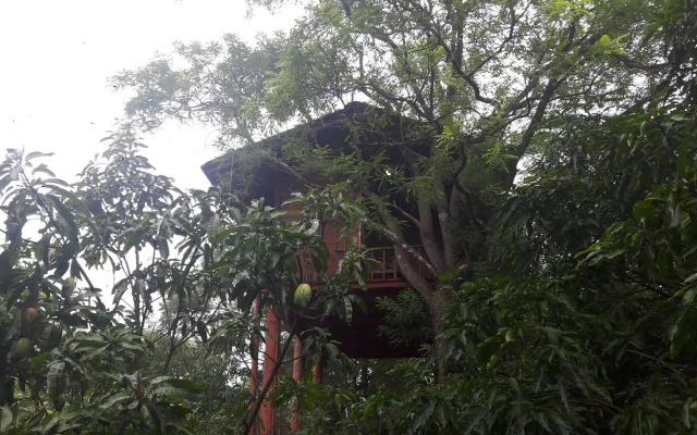 Dambulla Tree House