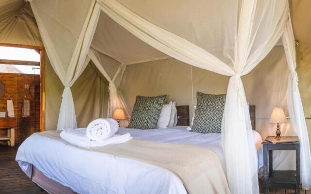 Shindzela Tented Safari Camp
