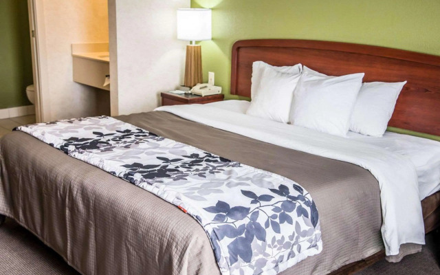 Sleep Inn & Suites Allendale