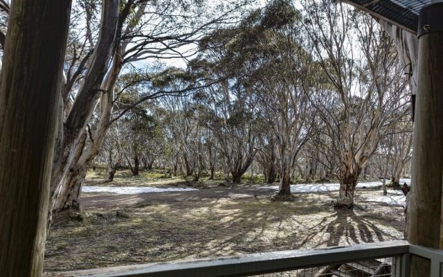 Snowgums 07