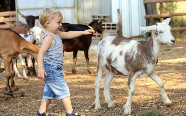 Château Saint-Roux Le Luc- Le Cannet des Maures
