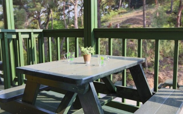 Gyeongju Paradise Bed and Breakfast