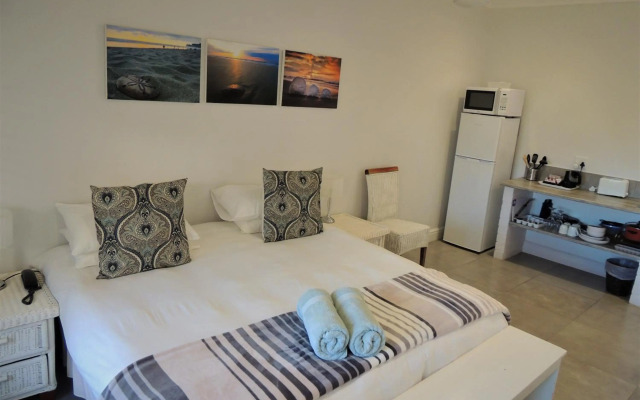 Sand Dollar @ The Dunes