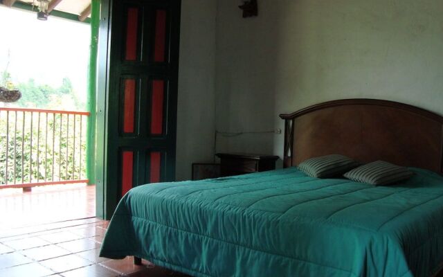 Ecosuits Verdes - Adults Only