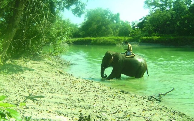 Nepal Wildlife Resort