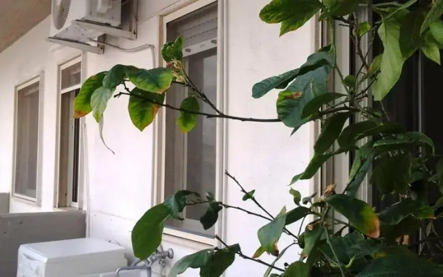 La Mansarda di Casa Manu