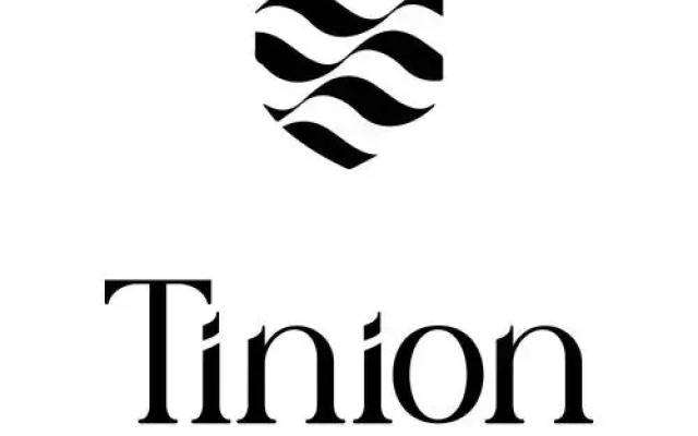 Tinion